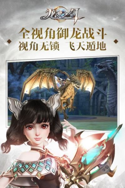龙魂之剑下载