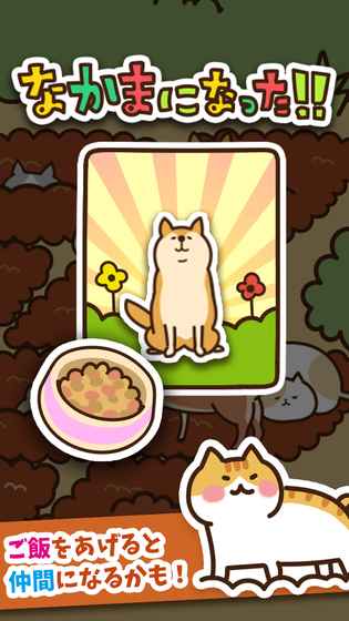 猫咪田园汉化版手游