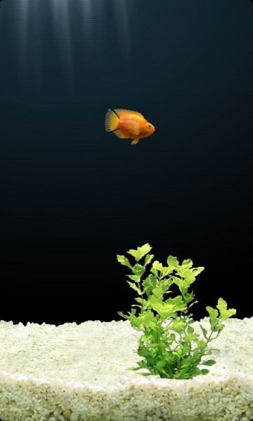 模拟水族馆