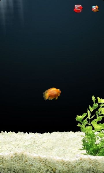 模拟水族馆内购破解版下载