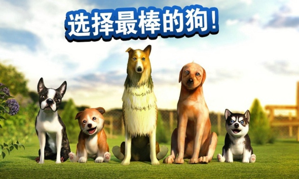 狗子你变了游戏下载