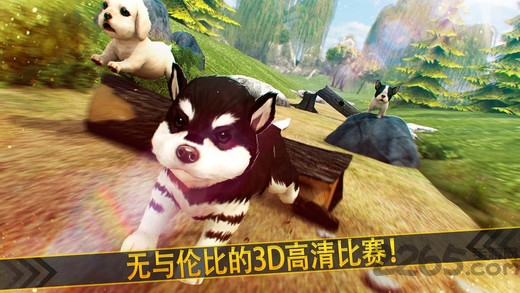 我的梦想宠物小狗手机版