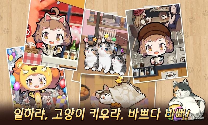 我的猫咪日记汉化破解版下载