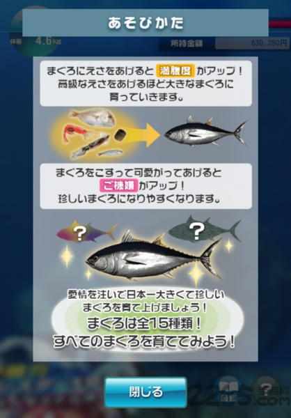 金枪鱼养殖