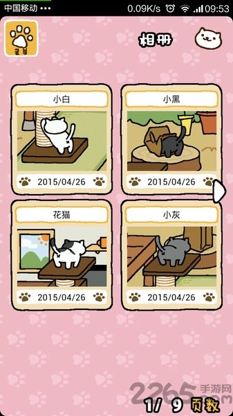 收集猫猫游戏下载