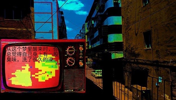 变成鸟的那一天游戏下载