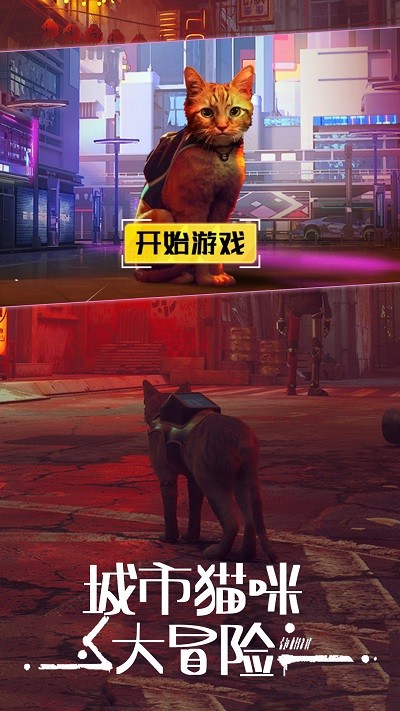 城市动物大冒险手机版下载