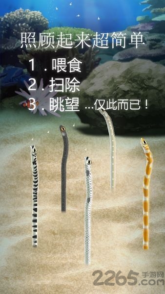 治愈的花园鳗育成游戏汉化版