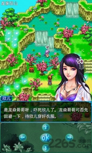 龙遁奇缘破解版下载
