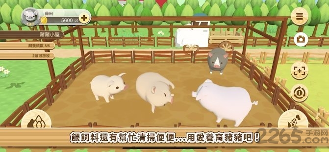 养猪场3d最新版