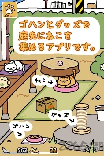 猫咪后院最新版本1.9.1下载