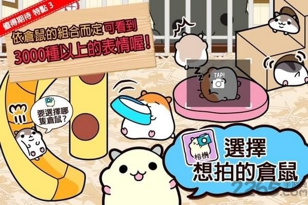 仓鼠系列
