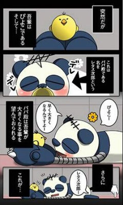 飞翔吧小鸡游戏下载