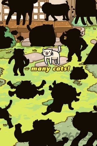 猫的进化世界破解版下载