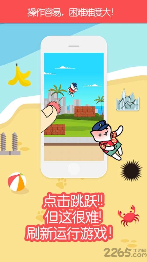 热带老板猫