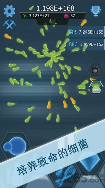 瘟疫细菌破解版下载