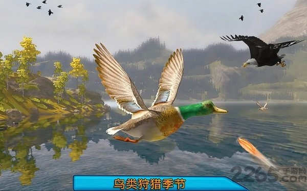 沙漠鸟类狙击手手游下载