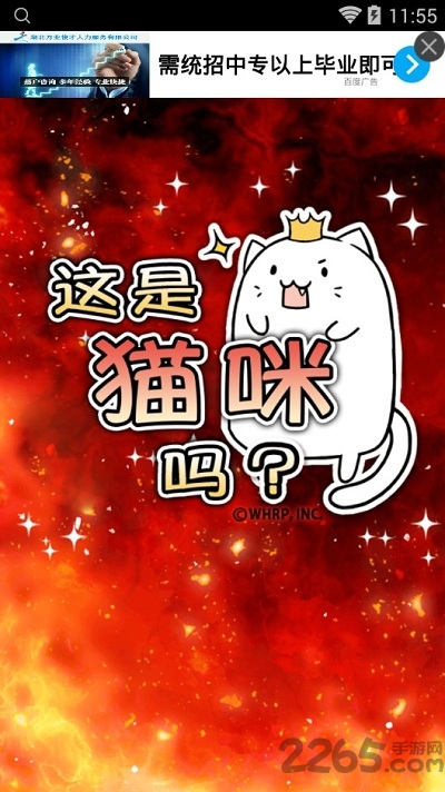 这是猫咪吗破解版