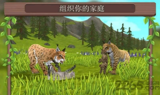 野生动物争霸游戏