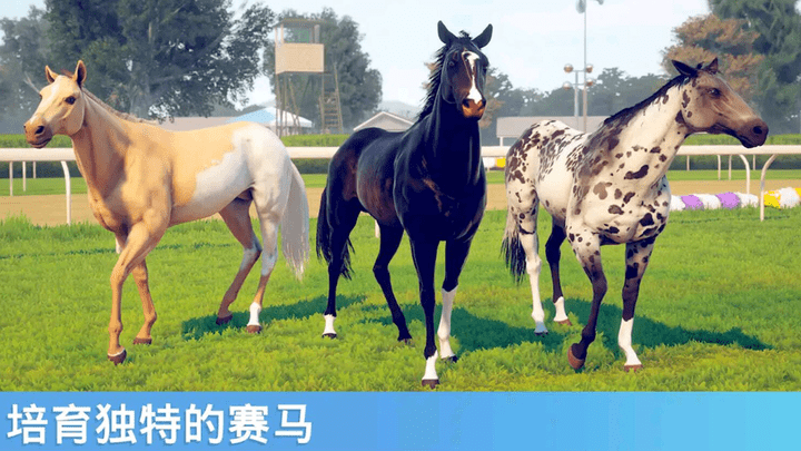 奔跑的马游戏下载