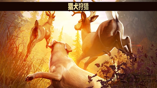 猎鹿人2018