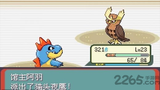 口袋妖怪黑蓝电光手机游戏