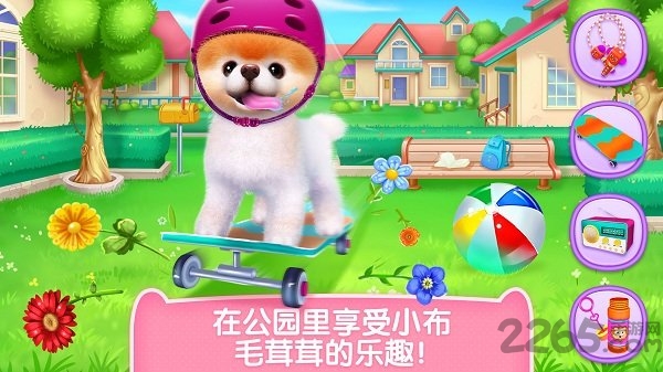 小布狗狗游戏破解版下载