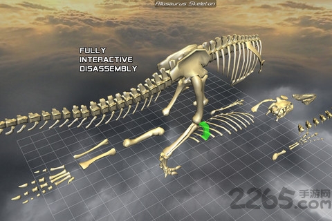 3d骨骼拆解破解版下载