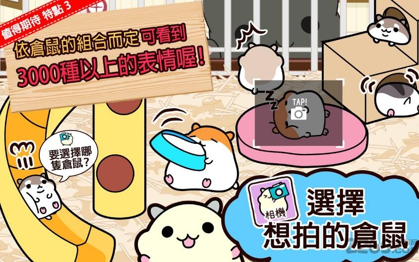 仓鼠收集内购破解版