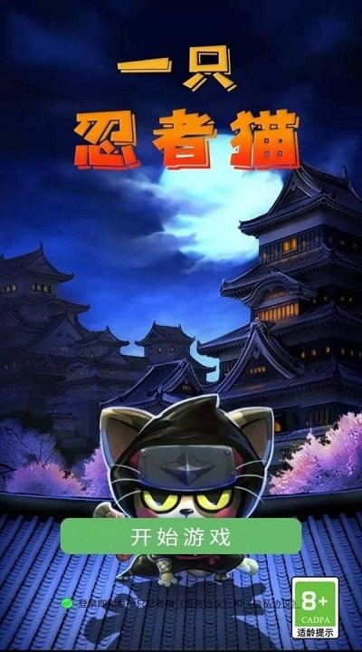 一只忍者猫下载
