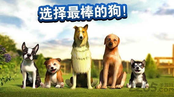 模拟狗狗官方游戏下载