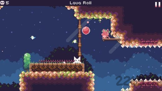 cat bird破解版下载