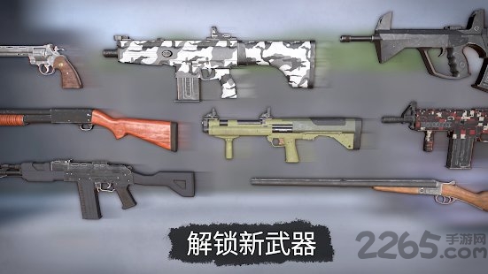 dead zed无限货币版