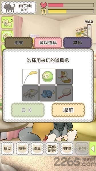 我家不可思议的猫咪手机版