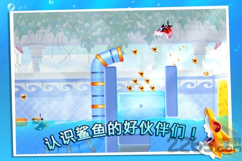 鲨鱼向前冲内购破解版