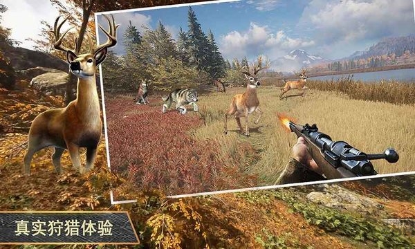 终极猎人3d游戏下载