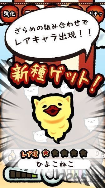 棉花糖猫猫