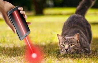 laser for cats官方版